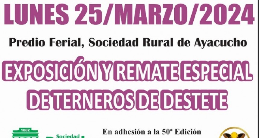 El lunes 25 se realiza el remate especial de terneros de destete en Ayacucho