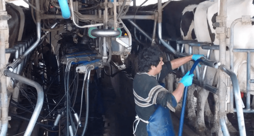 La ca&iacute;da del consumo y de los precios internacionales afect&oacute; el precio de la leche cruda