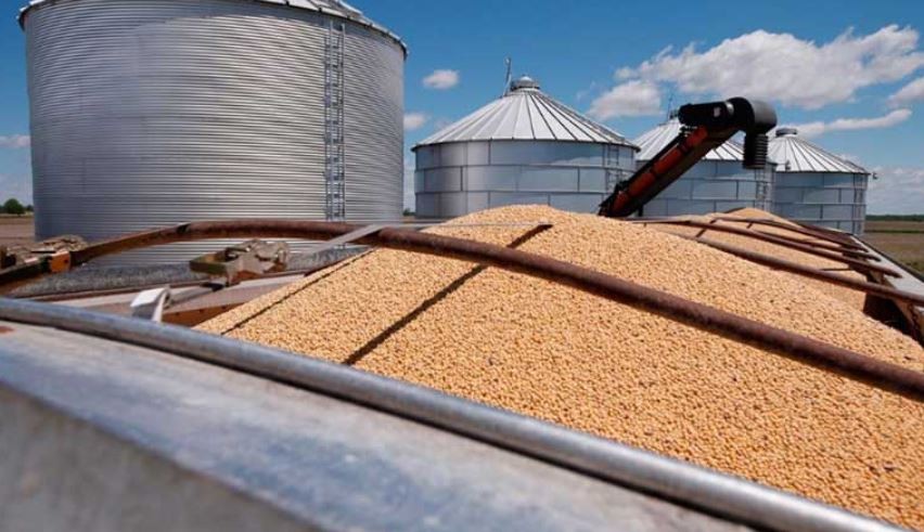 Las exportaciones agroindustriales crecieron 6% en febrero