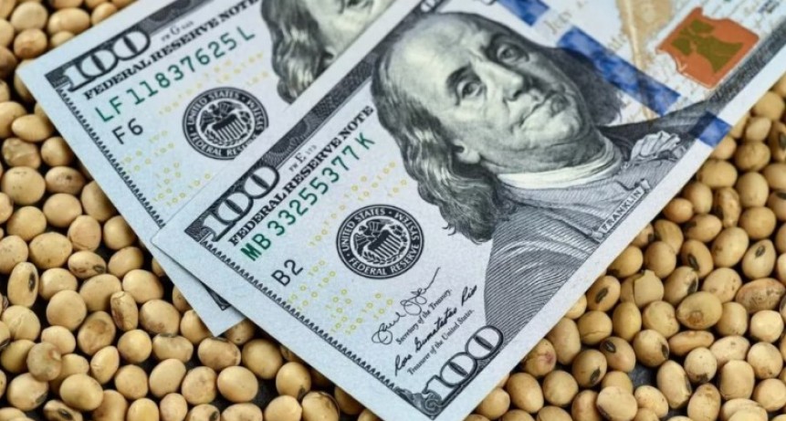 Tras la baja de retenciones, el agro liquid&oacute; m&aacute;s de US$ 2.100 millones en febrero