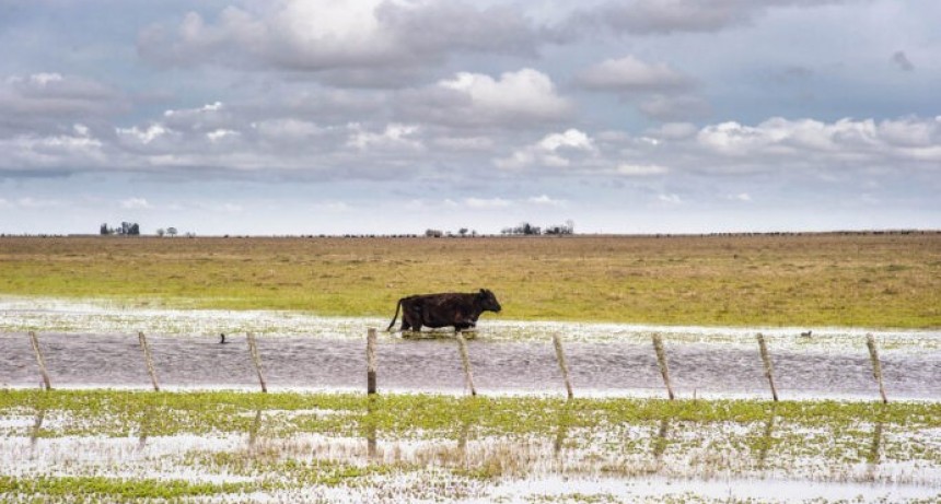Casi 2 millones de hect&aacute;reas bajo el agua en la provincia: las p&eacute;rdidas son &ldquo;much&iacute;simas&rdquo;