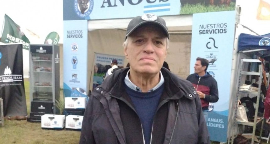 Angus en Expoagro: &ldquo;Venimos con un crecimiento important&iacute;simo&rdquo; 