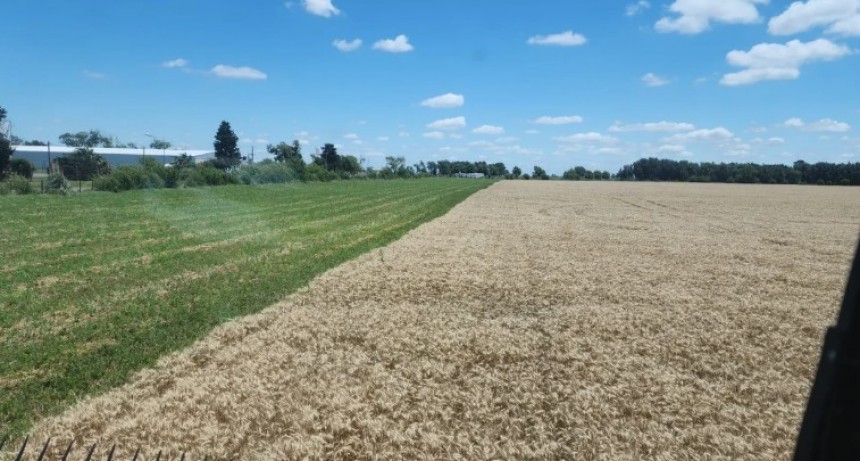 Mercado inmobiliario rural: cu&aacute;les son las zonas m&aacute;s demandadas este a&ntilde;o y por qu&eacute;