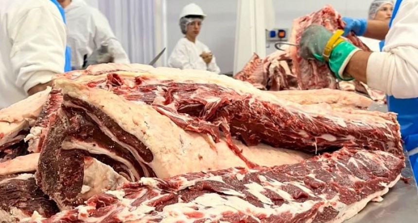 El Gobierno suspendi&oacute; el ingreso de carne con hueso a la Patagonia