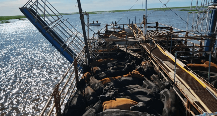 En el Paran&aacute; tambi&eacute;n navegan las quejas del campo 