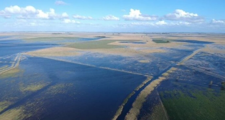 Exceso h&iacute;drico en 13 distritos bonaerenses: pautas generales para el manejo de rodeos y pasturas