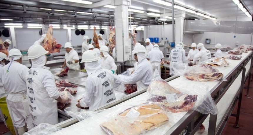 La industria frigor&iacute;fica, preocupada por la ca&iacute;da en el volumen exportado