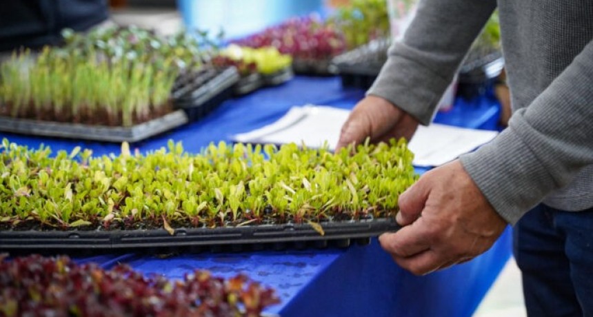 Abri&oacute; la inscripci&oacute;n para el Programa Huerta Urbana Bonaerense 