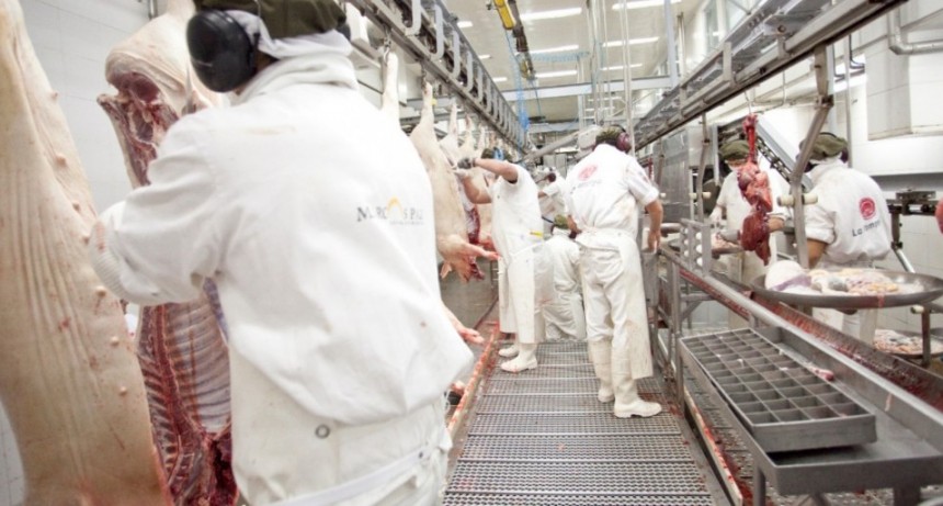 Argentina abri&oacute; el mercado de Paraguay para carne y menudencias porcinas