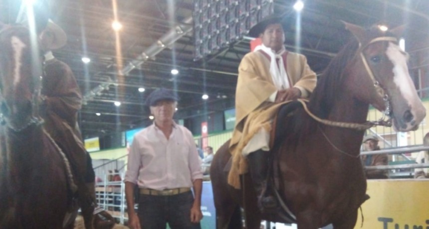 Nuestros Caballos: Ricardo Scopetani, Asociaci&oacute;n Criadores de Caballos Peruano de Paso