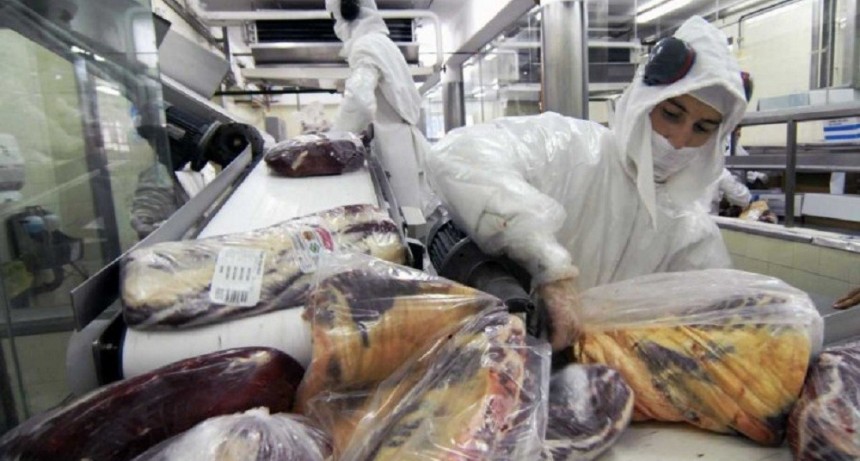 La Aduana sancion&oacute; a cuatro frigor&iacute;ficos por exportaci&oacute;n de cortes prohibidos