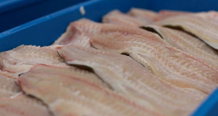 Pautas a tener en cuenta para el consumo responsable y seguro de productos de la pesca