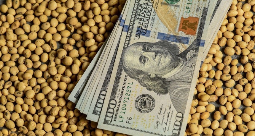 El Gobierno propuso un tipo de cambio a $300 para la soja del d&oacute;lar agro