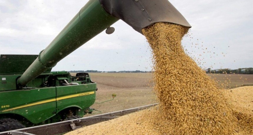 Las exportaciones de soja sufren una ca&iacute;da de US$ 7.300 millones por efecto de la sequ&iacute;a