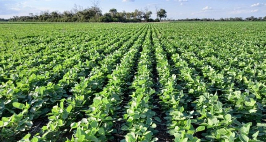 Carbap rechaz&oacute; el d&oacute;lar &ldquo;agro&rdquo;: es una medida &ldquo;injusta&rdquo; y &ldquo;cortoplacista&rdquo;