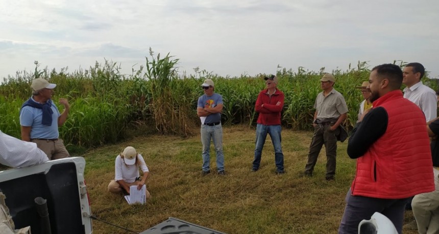 Desarrollo Agropecuario: Jornada T&eacute;cnica en Chacra Experimental Blanca Grande