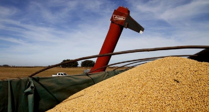 Actualizaci&oacute;n del Registro de Exportadores de Granos de ma&iacute;z, sorgo, soja y cebada a China