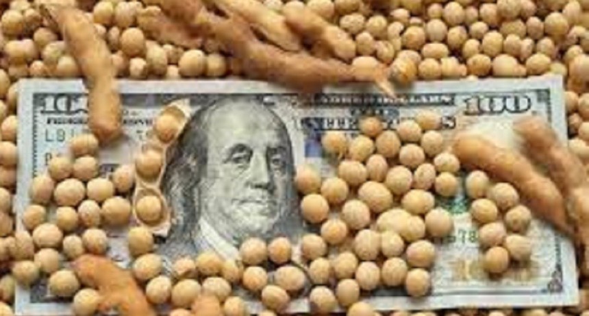 Comenzaron a ingresar d&oacute;lares de los agroexportadores