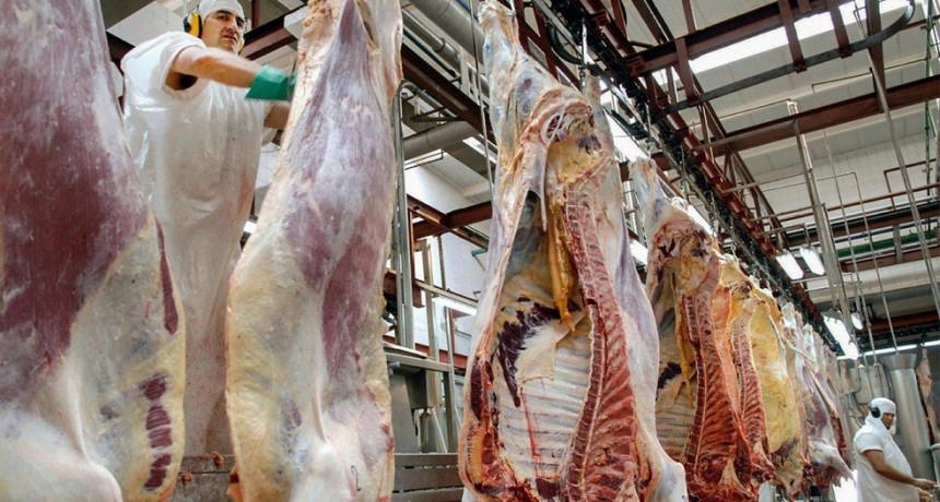 Impulsada por la sequ&iacute;a, aument&oacute; en marzo la faena vacuna y se &lsquo;atenu&oacute;&rsquo; la suba de la hacienda