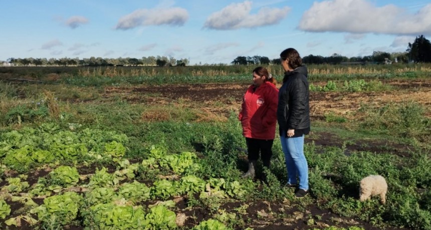 Desarrollo Agropecuario: recorrida por quintas hort&iacute;colas