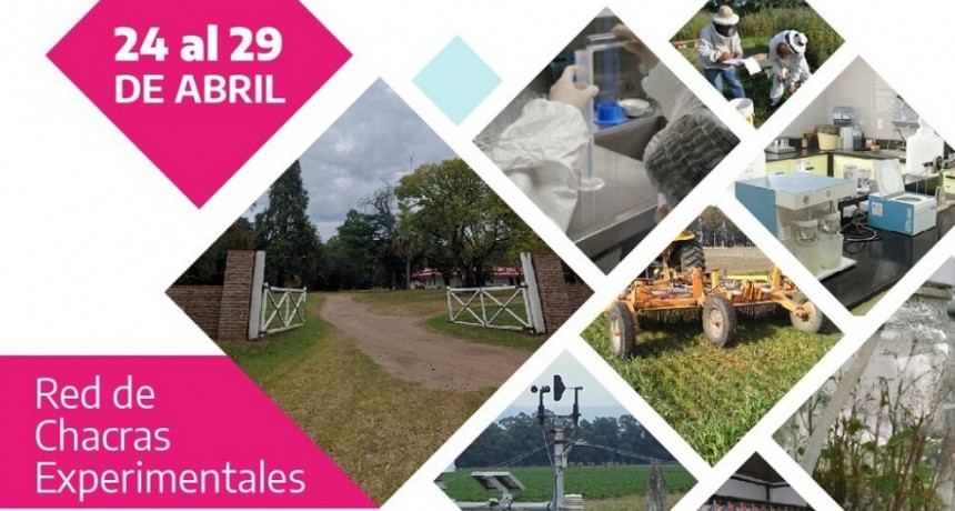 Llega la &ldquo;Semana a tranqueras abiertas&rdquo; para visitar las Chacras Experimentales del MDA