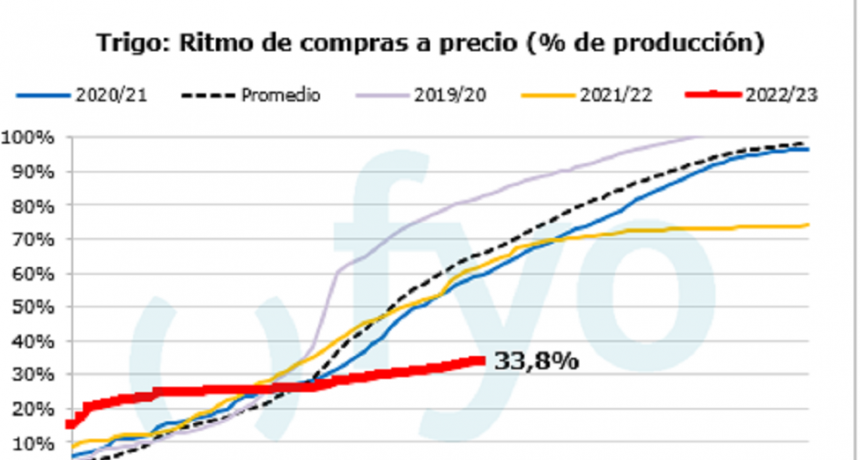 El Gobierno vuelve a intervenir en el mercado de trigo con una medida que impacta en las exportaciones