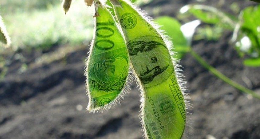 D&oacute;lar soja: la semana se inicia con la expectativa de una mayor liquidaci&oacute;n