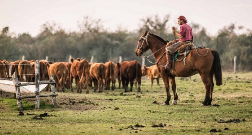 Financiar&aacute;n proyectos para impulsar el arraigo rural de j&oacute;venes