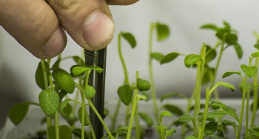 INTA y Conicet articulan agenda para la innovaci&oacute;n en el agro