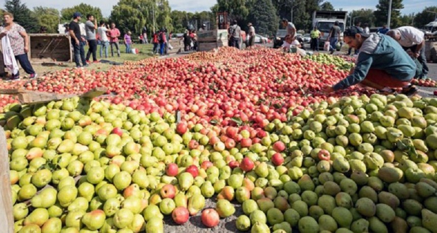 D&oacute;lar agro: incluyen a las frutas, las hortalizas y la carne ovina en el tipo de cambio diferencial