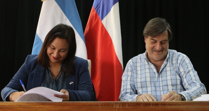 Argentina y Chile acordaron una agenda sanitaria para fortalecer el comercio de productos