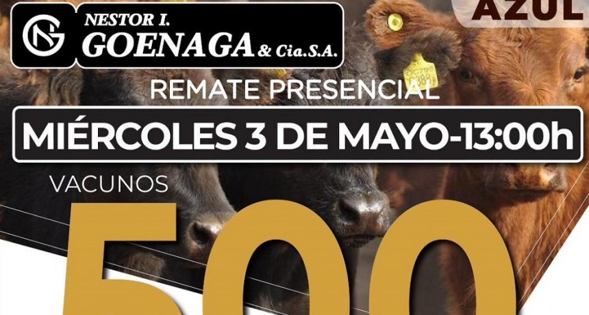 El mi&eacute;rcoles 3 de mayo se realiza el remate de N&eacute;stor I.Goenaga en Azul