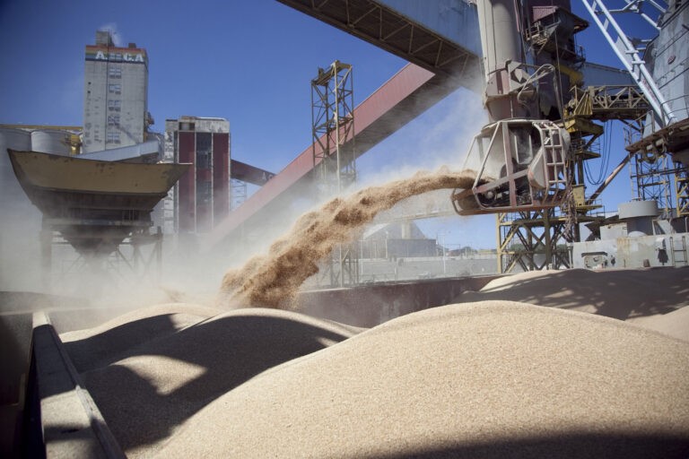 Las exportaciones de harina de soja se recuperan después de la sequía