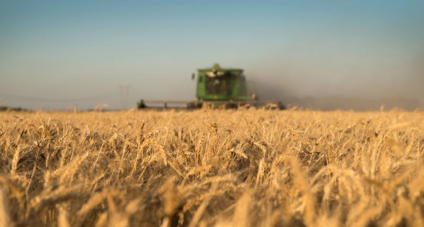 El agro ingres&oacute; 1.501 millones de d&oacute;lares en marzo