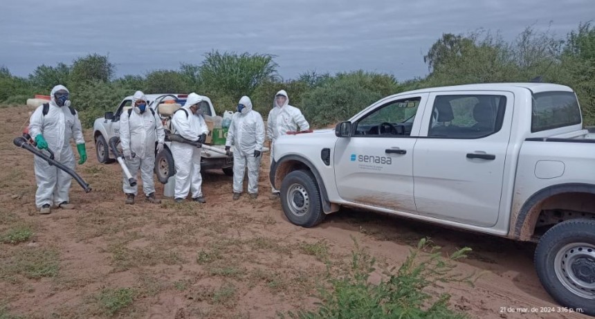 Langosta: Contin&uacute;an los monitoreos para la detecci&oacute;n temprana y control de focos