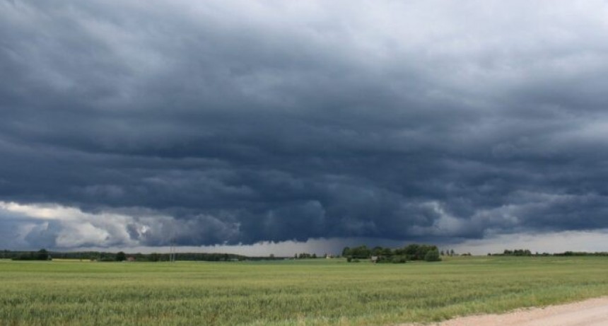 Suelos: c&oacute;mo conservar 100 mil&iacute;metros de agua de lluvia