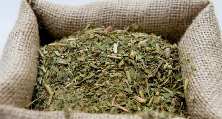 Que puede pasar con los precios de la yerba mate  tras un cambio clave que ya est&aacute; vigente