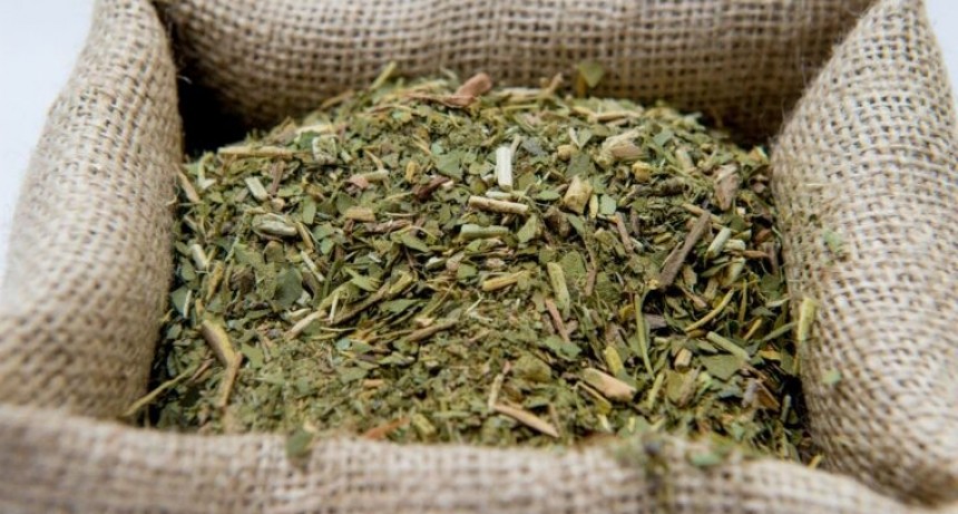 Se frenaron los art&iacute;culos del DNU que le imped&iacute;a fijar precios al Instituto Nacional de la Yerba Mate