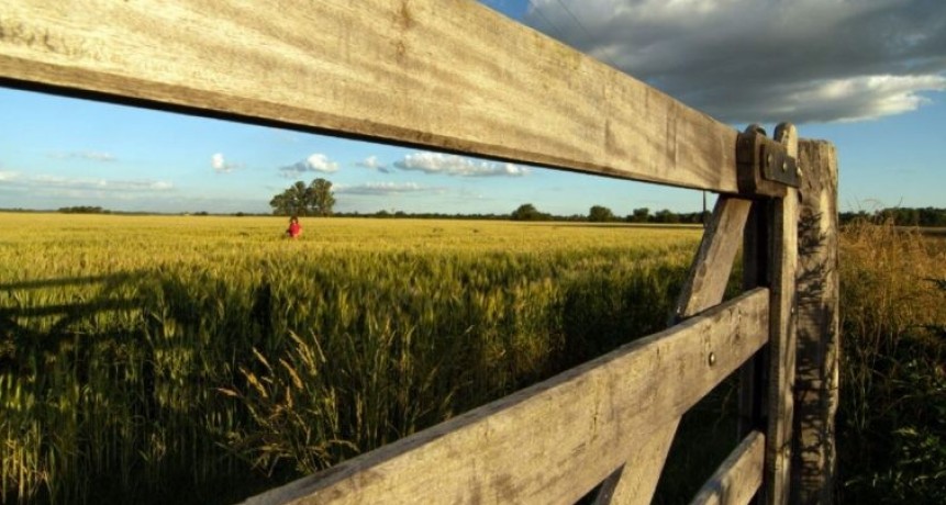 Otro gui&ntilde;o al campo: eliminar&aacute;n los aranceles para la importaci&oacute;n de fertilizantes