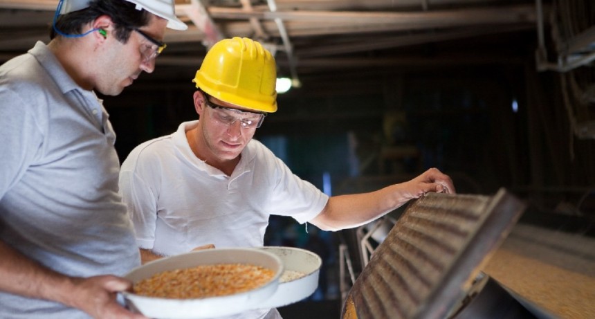 Se recomienda no utilizar un producto fitosanitario en la poscosecha de ma&iacute;z para exportaci&oacute;n