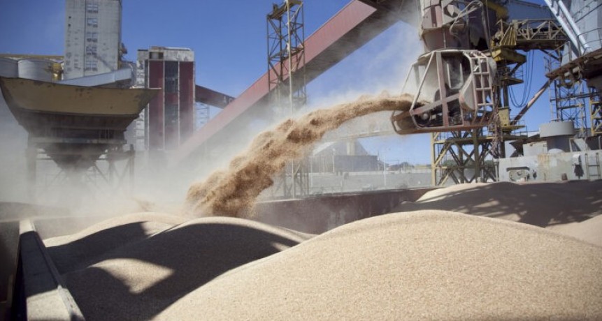 Las exportaciones de harina de soja se recuperan despu&eacute;s de la sequ&iacute;a