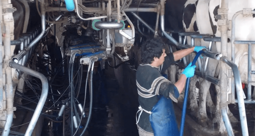 Lecher&iacute;a inteligente: aplicar tecnolog&iacute;as para transformar el tambo
