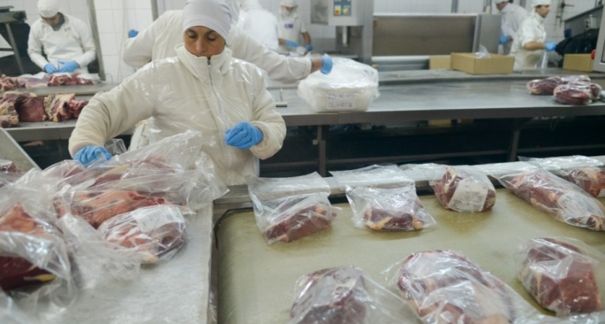 Una nueva medida simplifica y agiliza el reporte de precios bovinos para frigor&iacute;ficos