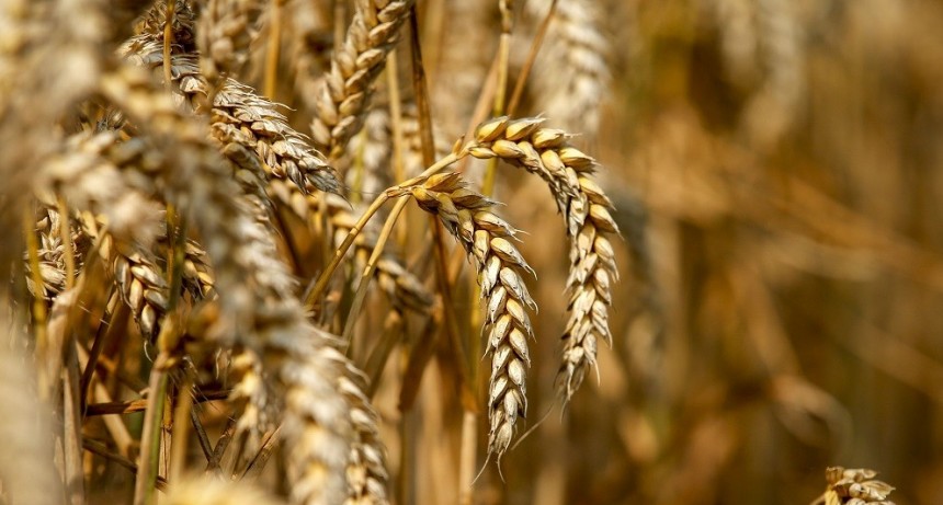 Se aprob&oacute; el nuevo procedimiento para el registro de productos fertilizantes