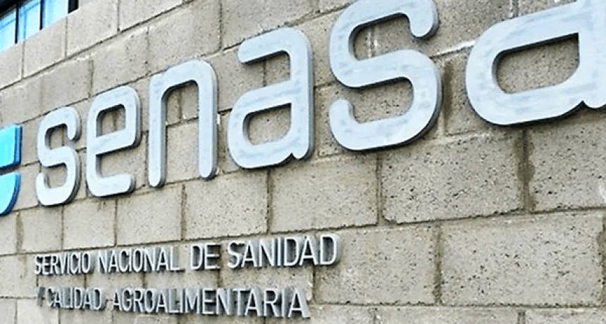 Por un paro en el SENASA, se frenar&aacute;n las exportaciones durante tres d&iacute;as