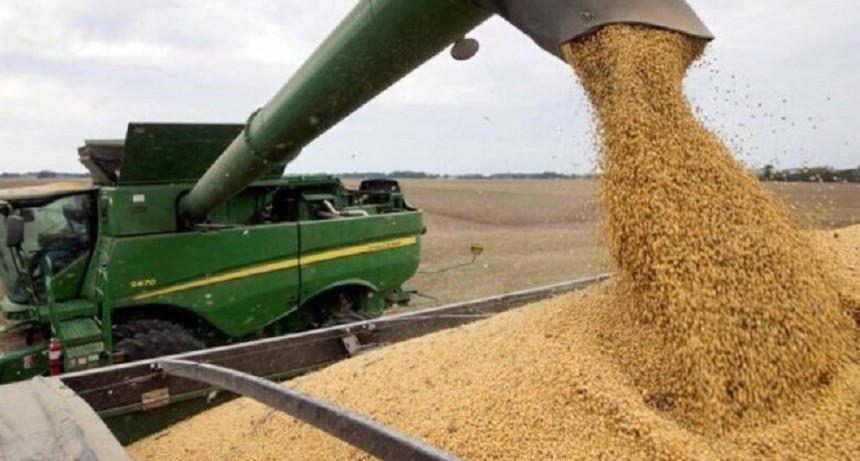 Buenas perspectivas clim&aacute;ticas para la cosecha