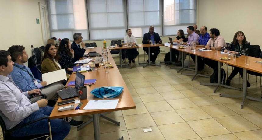 CVP: El Grupo de Sanidad Porcina del Cono Sur estableci&oacute; pautas de trabajo para la regi&oacute;n