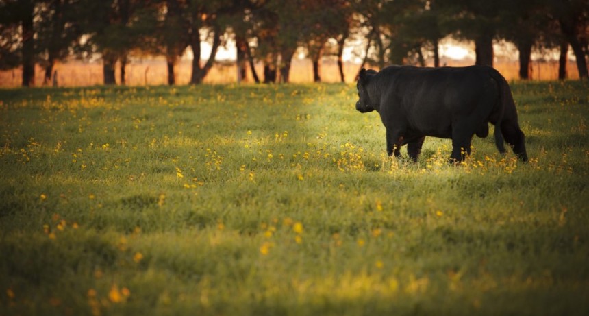 Prevenci&oacute;n de enfermedades transmisibles de los animales a las personas