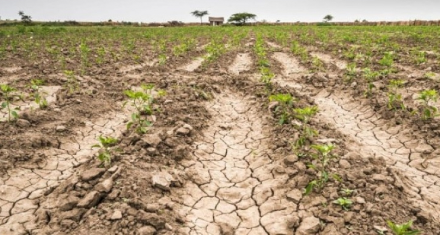 La Provincia declar&oacute; la emergencia por sequ&iacute;a a productores de dos distritos