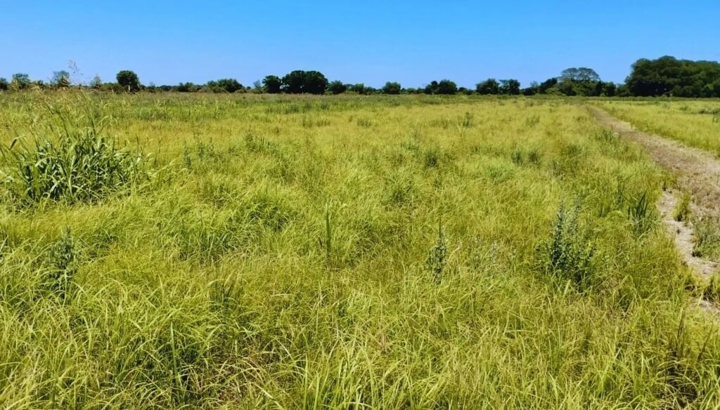 Pautas para “pasar el invierno” en las zonas donde el verano dejó sequía